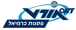 אורט פסגות